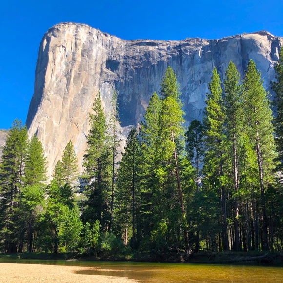 Meet your Posher, Vanessa - Picture 1 of 4